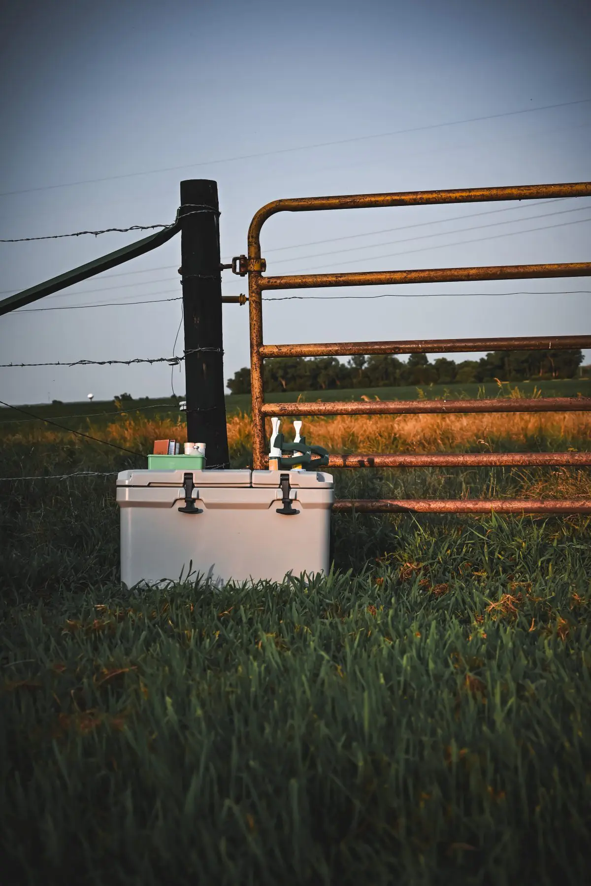 cross-five-cattle-cooler-animal-livestock-medicine-holder