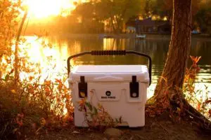 choosing-the-right-cooler-size-and-style